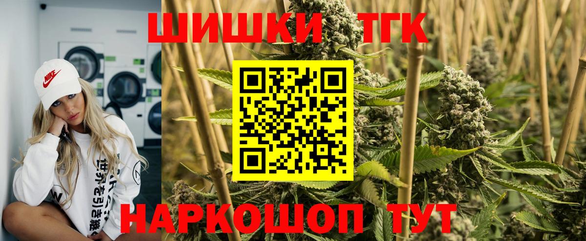 Конопля сатива Клин